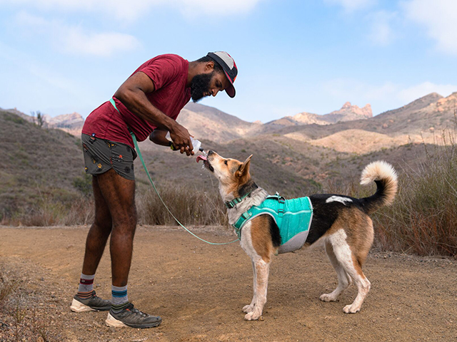 Ruffwear Swamp Cooler Zip Vest, Aurora Teal - Image 2