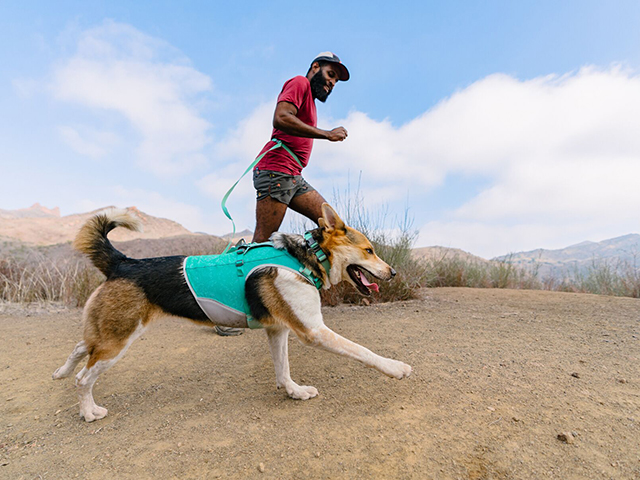 Ruffwear Swamp Cooler Zip Vest, Aurora Teal - Image 6