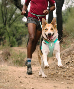 Ruffwear Swamp Cooler Zip Vest, Aurora Teal - Image 7