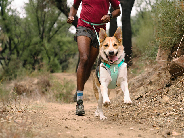 Ruffwear Swamp Cooler Zip Vest, Aurora Teal - Image 7