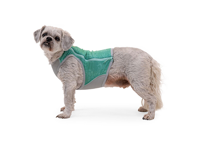 Ruffwear Swamp Cooler Zip Vest, Aurora Teal - Image 8