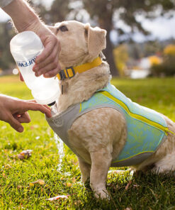 Ruffwear Swamp Cooler Zip Vest, Blue Mist - Image 3