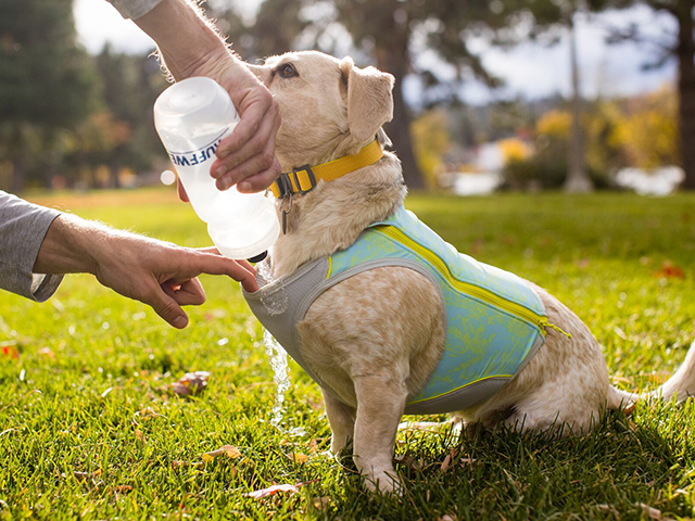 Ruffwear Swamp Cooler Zip Vest, Blue Mist - Image 3