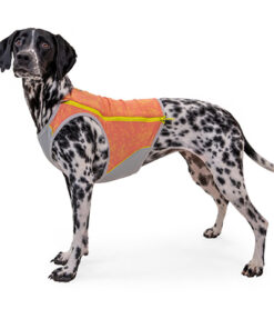 Ruffwear Swamp Cooler Zip Vest, Salmon Pink - Image 4
