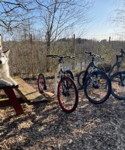 Intro Kickbike Kursus - Image 3