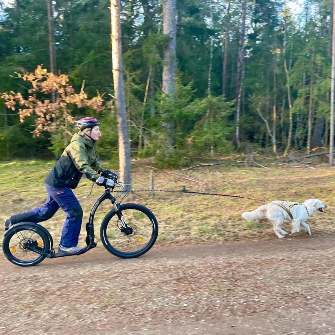 Intro Kickbike Kursus