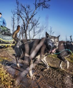 Alternative view of Troll Cart Neiden – Twin
