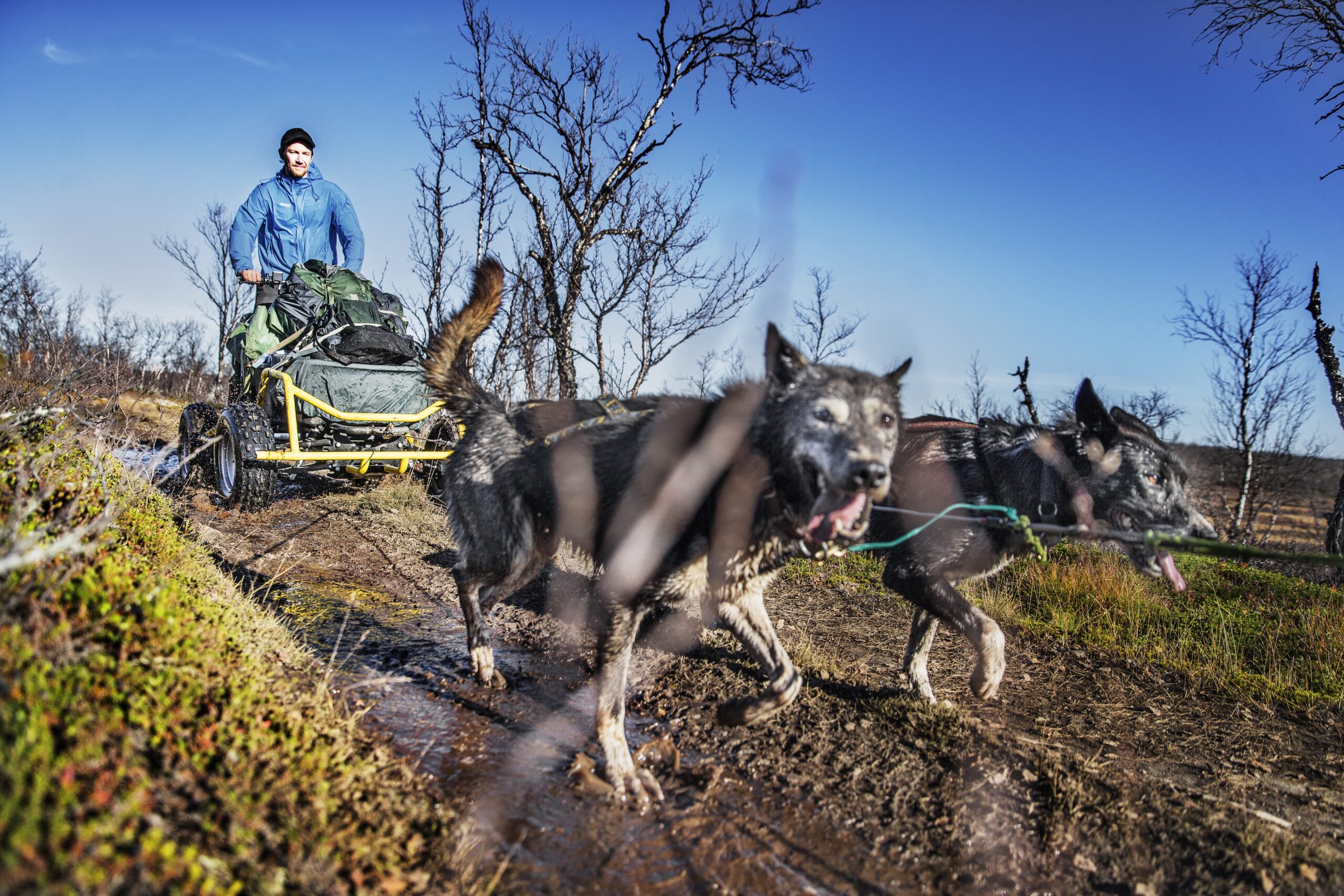 Troll Cart Neiden – Twin - Image 2