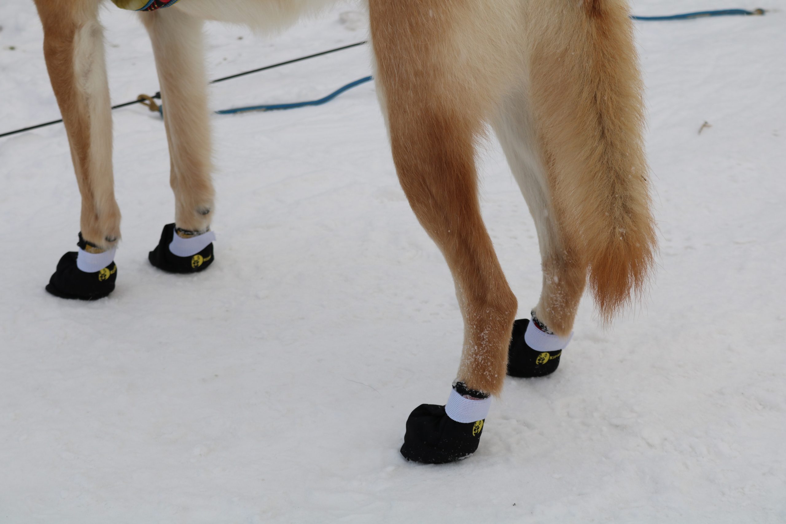 Kipmik Booties, Condura500 - Image 3