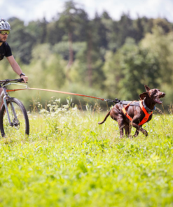 Non-stop Dogwear Freemotion Harness 5.0 - Image 16