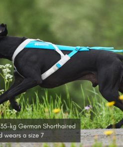 Non-stop Dogwear Freemotion Harness 5.0 - Image 7