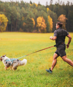 Non-stop Dogwear Freemotion Harness 5.0 - Image 10
