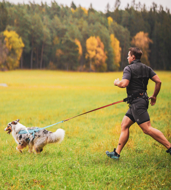 Non-stop Dogwear Freemotion Harness 5.0 - Image 10