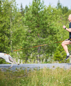 Non-stop Dogwear Freemotion Harness 5.0 - Image 8