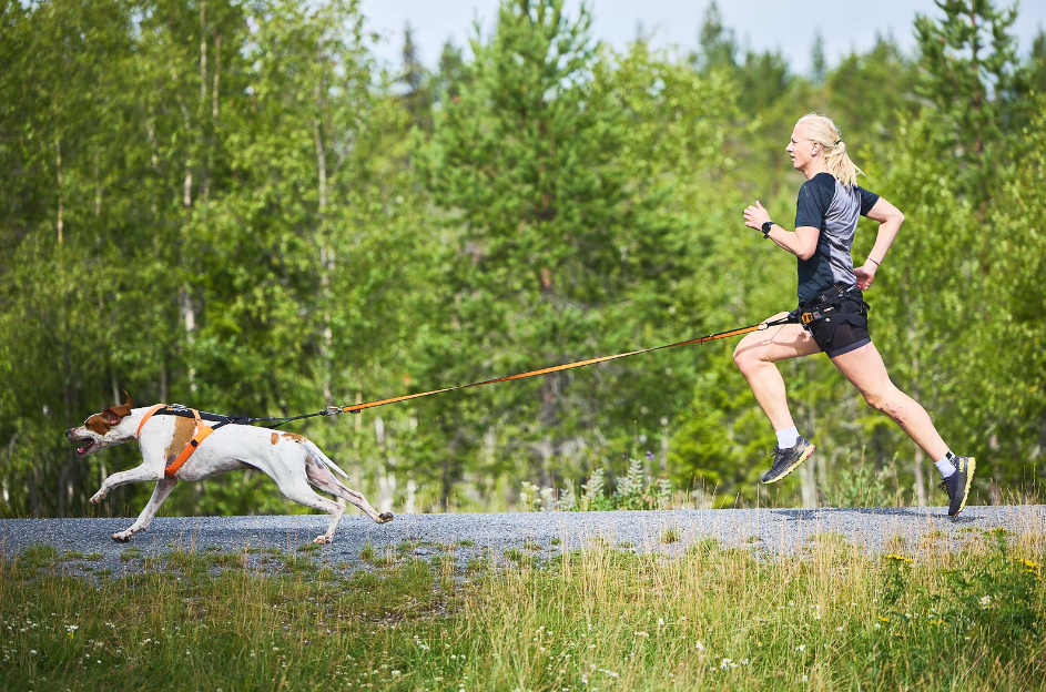 Non-stop Dogwear Freemotion Harness 5.0 - Image 8