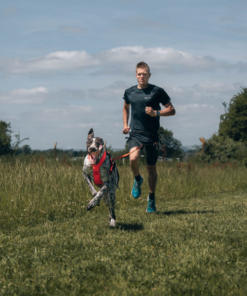 Non-stop Dogwear Freemotion Harness 5.0 - Image 17