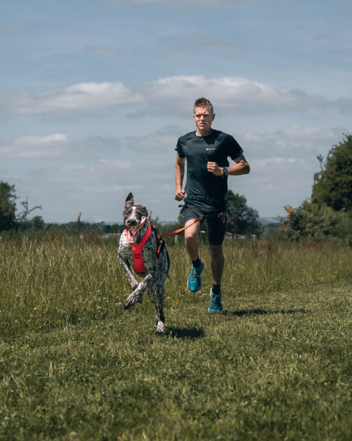 Non-stop Dogwear Freemotion Harness 5.0 - Image 17