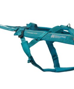 Non-stop Dogwear Freemotion Harness 5.0 - Image 3