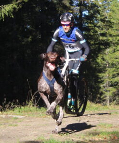Kickbike Cross 29er - Image 28
