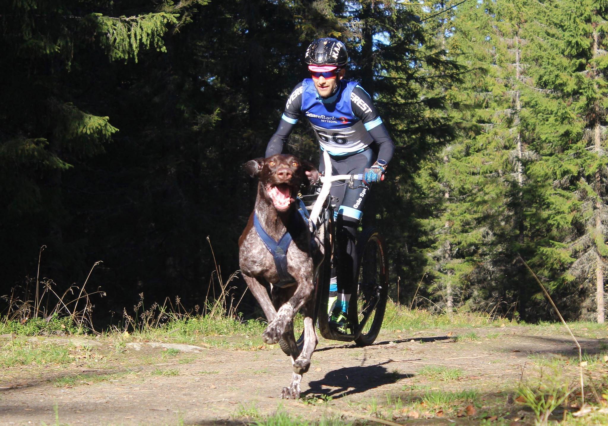 Kickbike Cross 29er - Image 28