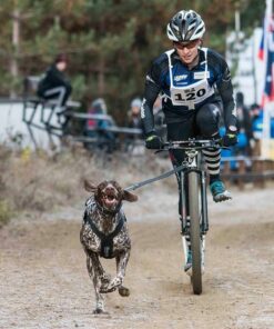 Kickbike Cross 29er - Image 29