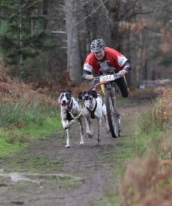 Kickbike Cross 29er - Image 6