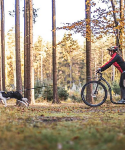 Kickbike Cross 29er - Image 23