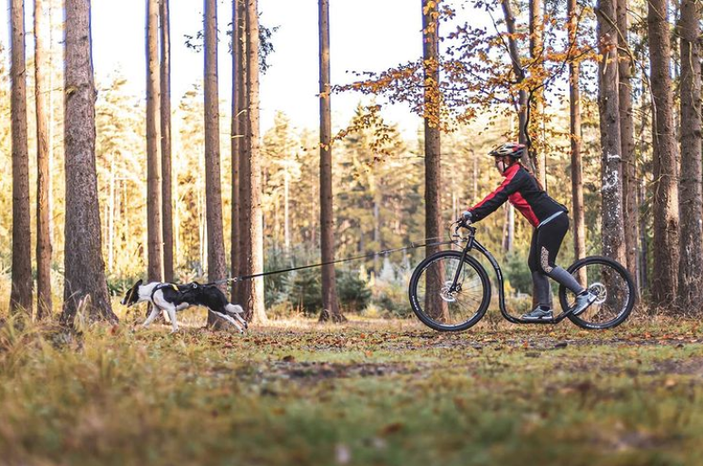 Kickbike Cross 29er - Image 23