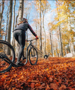 Kickbike Cross 29er - Image 20