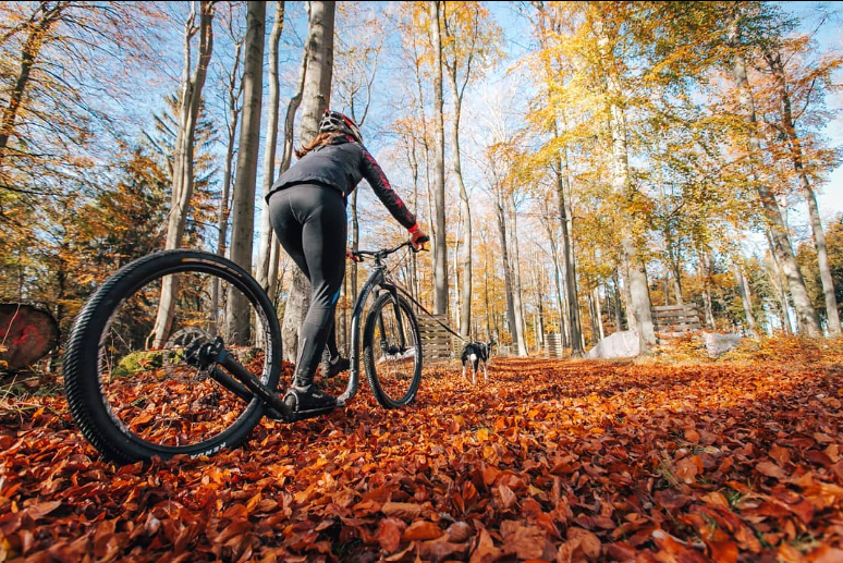 Kickbike Cross 29er - Image 20