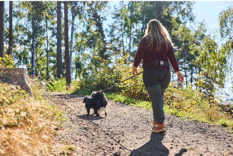 Non-stop Dogwear Trekking Belt 2.0 - Image 2