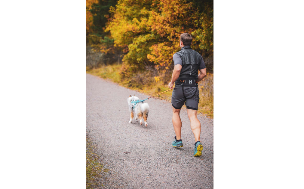 Non-stop Dogwear Trekking Belt 2.0 - Image 3
