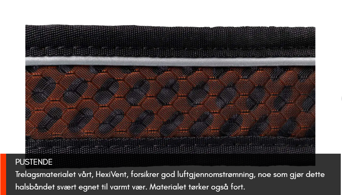Non-stop Dogwear Rock Collar 3.0 - Image 3