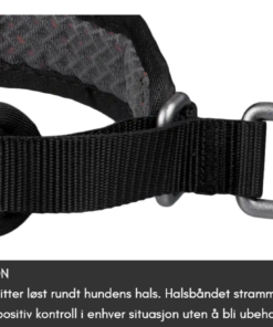Non-stop Dogwear Rock Collar 3.0 - Image 5
