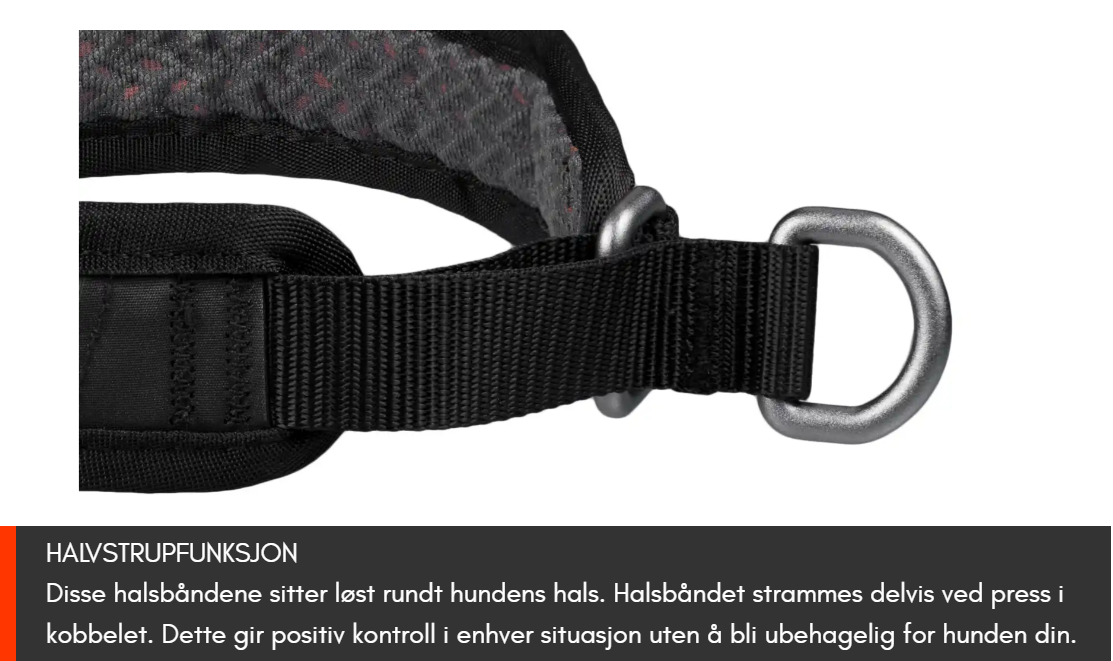 Non-stop Dogwear Rock Collar 3.0 - Image 5