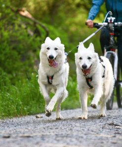 Non-stop Dogwear Bike Antenna KLICKfix - Image 5