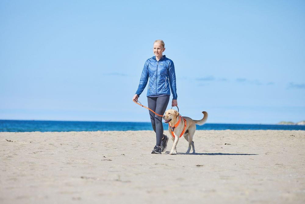 Non-stop Dogwear Move Leash - Image 6