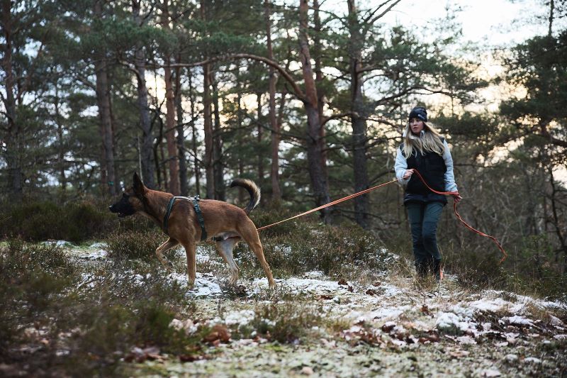 Non-stop Dogwear Friction Long line - sporline - Image 4