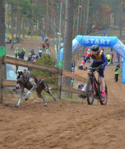 Non-stop Dogwear Bike Antenna KLICKfix - Image 3