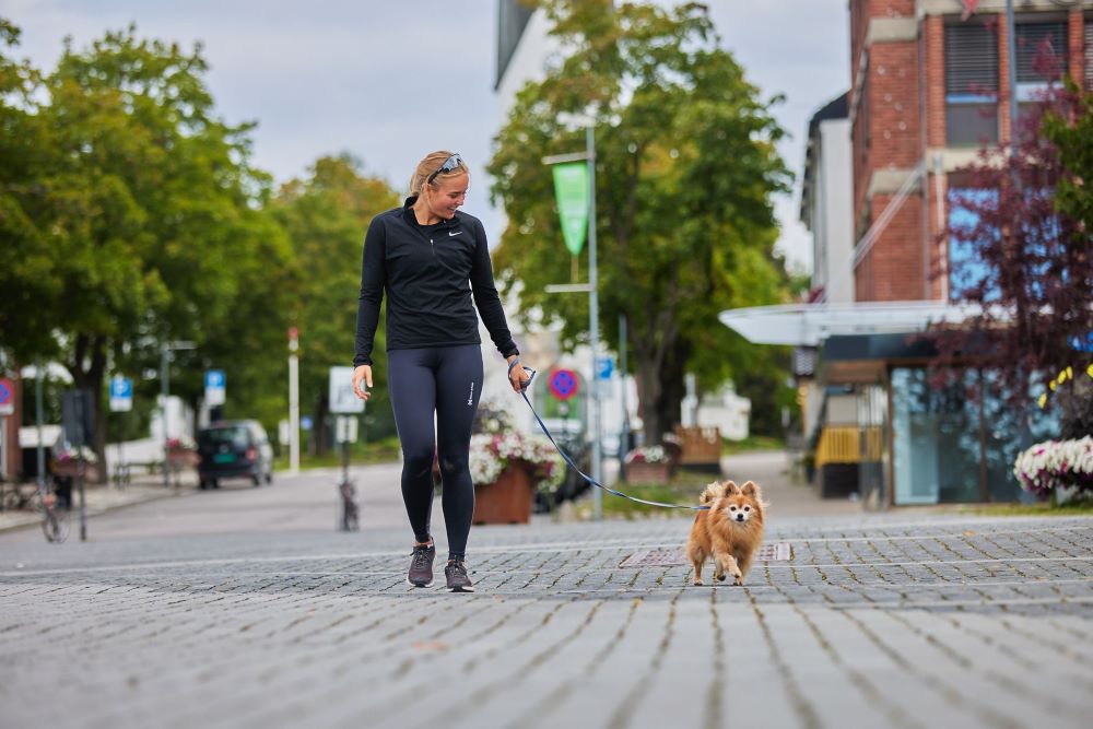 Non-stop Dogwear Move Leash - Image 4