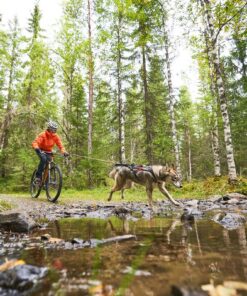 Non-stop Dogwear Bike Antenna KLICKfix - Image 6