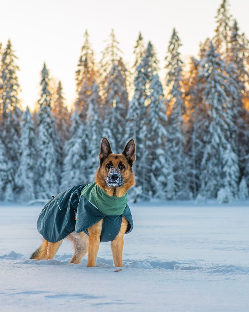 Non-Stop Dogwear Glacier Wool Jacket 2.0 - Image 10