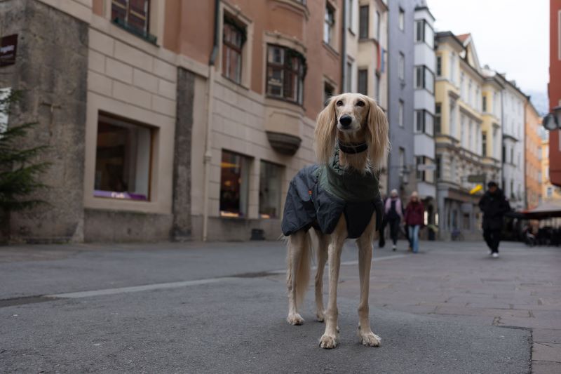 Non-Stop Dogwear Glacier Wool Jacket 2.0 - Image 3