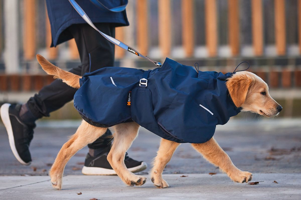 Non-Stop Dogwear Glacier Wool Jacket 2.0 - Image 2