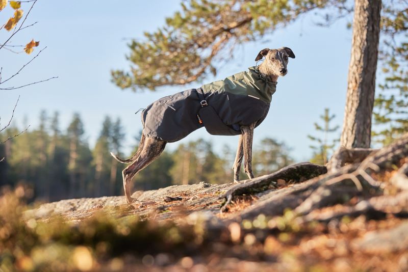 Non-Stop Dogwear Glacier Wool Jacket 2.0 - Image 9