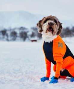 Non-Stop Dogwear Protector snow - Image 4