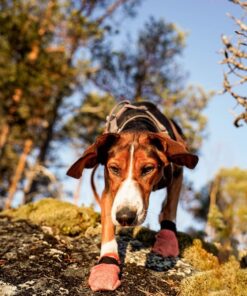 Non-Stop Dogwear Protector light socks - Image 3
