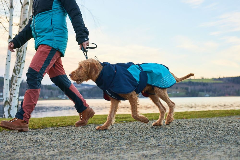 Non-stop Dogwear Glacier 2.0 - Image 6
