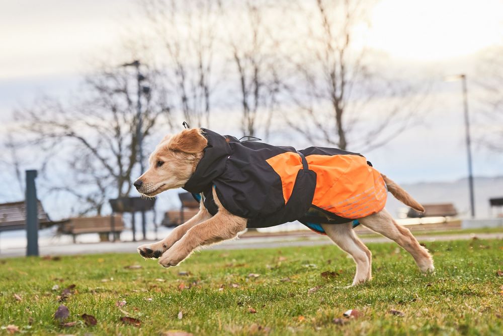 Non-stop Dogwear Glacier 2.0 - Image 4