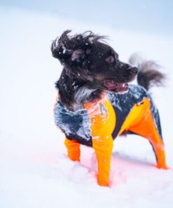 Non-Stop Dogwear Protector snow - Image 5